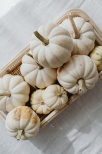 Kaboompics - Overhead View of White Mini Pumpkins in a Wicker Tray