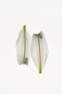 Kaboompics - Two White Flower Blossoms on Green Stems Against a Minimal High-Key Background