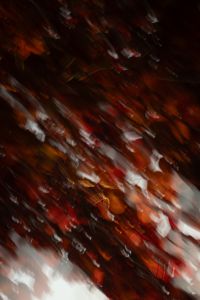 Kaboompics - Dark Red Motion Blur Nature Background