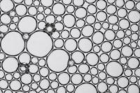 Kaboompics - Macro Bubble Pattern With Large And Small Circles