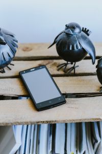 Little black plastic birds with a smartphone on a shelf