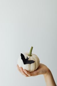 Kaboompics - Hand Holding White Pumpkin with Bat Decoration
