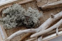 Kaboompics - Close-Up Driftwood Branches and Dried Lichen on a Woven Rattan Tray