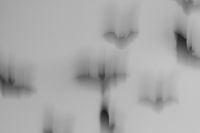 Kaboompics - Abstract Bat Shapes Moving Across a Gray Background