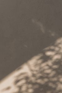 Kaboompics - Whispers of Beige - Captivating Shadow Backgrounds and Wallpapers in Warm Hues