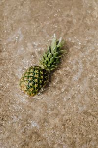 Kaboompics - Pineapple on the beach