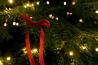 Kaboompics - Red Ribbon Bow on Evergreen Branch with Bokeh