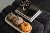 Kaboompics - Assorted Gourds on Dark Armchair