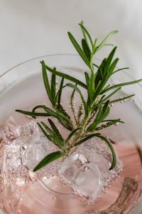 Kaboompics - Colorful Summer Cocktails with Lime and Rosemary