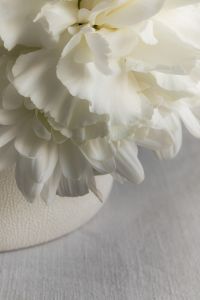 Kaboompics - White Flower Bouquet Close-Up