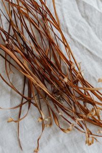 Kaboompics - Vertical Close-Up of Dried Grass Stems on White Linen, Textured Neutral Background