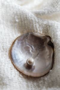 Kaboompics - Uncut Pearl in Iridescent Shell on White Fabric