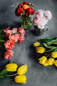 Kaboompics - Mixed Flower Bouquets Framing Gray Background