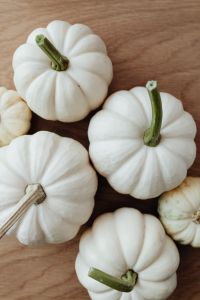 Kaboompics - White pumpkins
