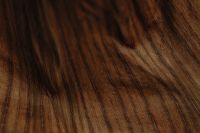 Kaboompics - Dried Banana Leaf Texture with a Soft Highlight