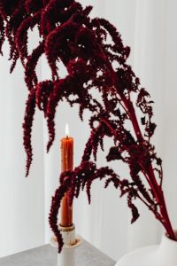 Kaboompics - Red Amaranthus with Candle in White Interior