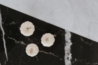Kaboompics - Mini white pumpkins
