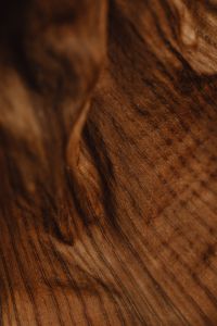 Kaboompics - Fibrous Detail of a Dried Banana Leaf