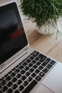 Kaboompics - Silver Acer laptop on a wooden desk with a green plant