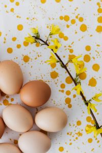 Kaboompics - Spring Egg Background with Yellow Blossoms and Greenery