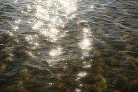 Kaboompics - Sunlight Sparkling on Shallow Sea Water