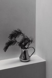 Kaboompics - Black and White Pine Branch in Silver Pitcher on White Shelf