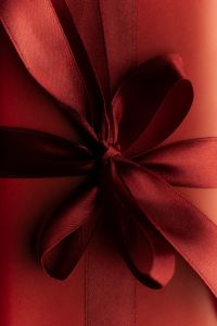 Kaboompics - Large Ribbed Ribbon Bow on Red Gift Box