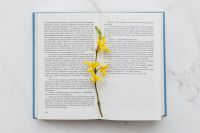 Kaboompics - Open Book with Yellow Spring Blossoms on Marble for Reading and Editorial Backgrounds