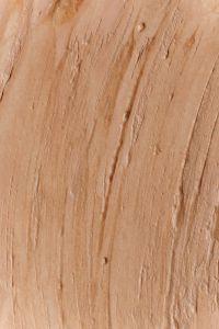Kaboompics - Light Tan Foundation Texture