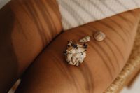 Kaboompics - Seashells on Tanned Legs in a Colorful Summer Beach Close-Up