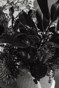 Kaboompics - Black and White Close-Up of Leaves and Textured Floral Arrangement