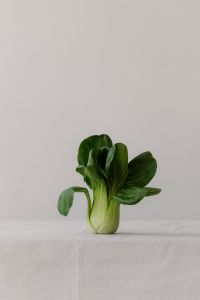 Kaboompics - Fresh Bok Choy on Neutral Background, Minimal Vegetable Still Life