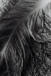 Kaboompics - Black and White Savoy Cabbage Texture in Macro Close-Up