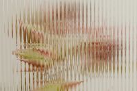 Kaboompics - Horizontal Botanical Blur Through Ribbed Glass, Pale Green Stems and Warm Pink Accents