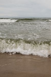 Kaboompics - Rolling Ocean Wave at the Beach
