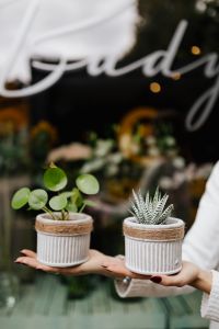 Kaboompics - Woman holds pilea & sukulent