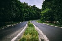 Kaboompics - Asphalt road through a forest