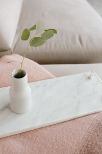 Kaboompics - White marble tray with vase with eucalyptus branch