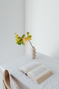 Kaboompics - Open Book with Oak Branch Vase on a White Table
