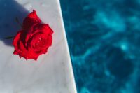 Kaboompics - Marble & fresh garden rose on the blue water of a swimming pool