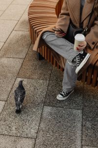 Kaboompics - Woman Sitting with Coffee and a Pigeon on City Pavement