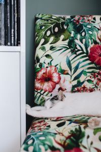 Kaboompics - Essential element to support a wall unit - the cat