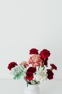 Kaboompics - Colorful carnations flowers - Dianthus caryophyllus