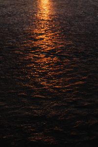 Kaboompics - Abstract Amber Sunlight on Textured Water