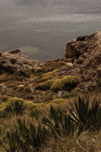 Kaboompics - Muted Sea Surface Above a Grassy Rocky Shore