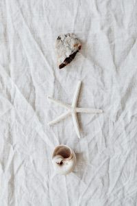 White Starfish and Seashells on Linen, Soft Neutral Beach Still Life