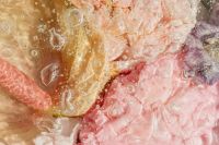 Kaboompics - Amber Pink and Mauve Flower Petals Under Water-Dappled Glass, Wide Floral Texture