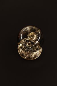 Kaboompics - A skull snow globe