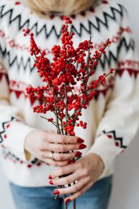 Kaboompics - Woman Holding Red Rowanberry Branch