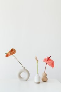 Kaboompics - Three Anthurium and Calla Flowers with Beige Copy Space